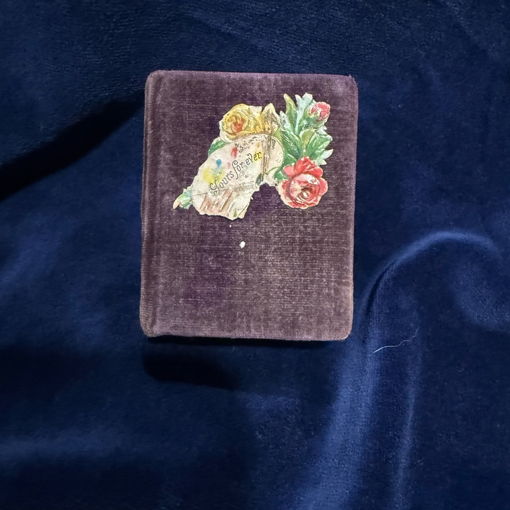 Antique Velvet Small Box w/ Ripped Diecut